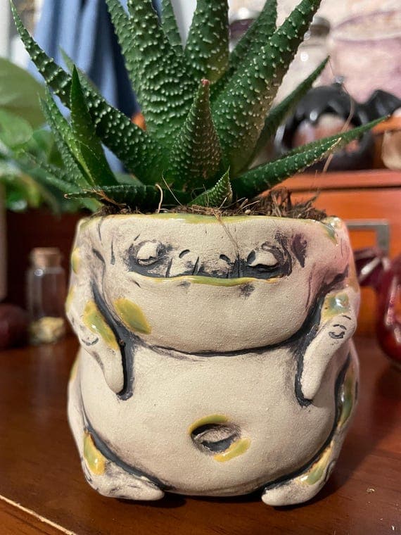 Plant pot Mandrake root Mandragora cachepot Planters for houseplants and succulents Handmade fantasy ceramic pots Work in a single copy