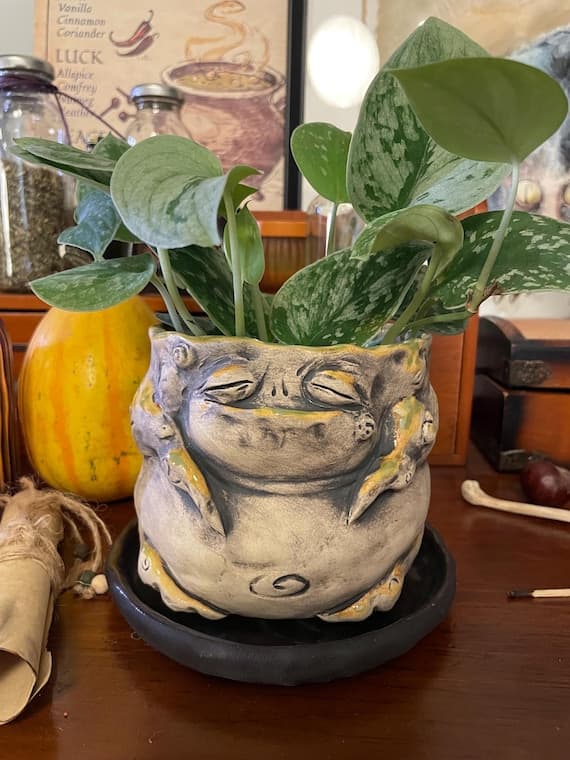 Plant pot with saucer Mandrake root Middle size mandragora planters for houseplants Handmade fantasy ceramic pot Work only in a single copy